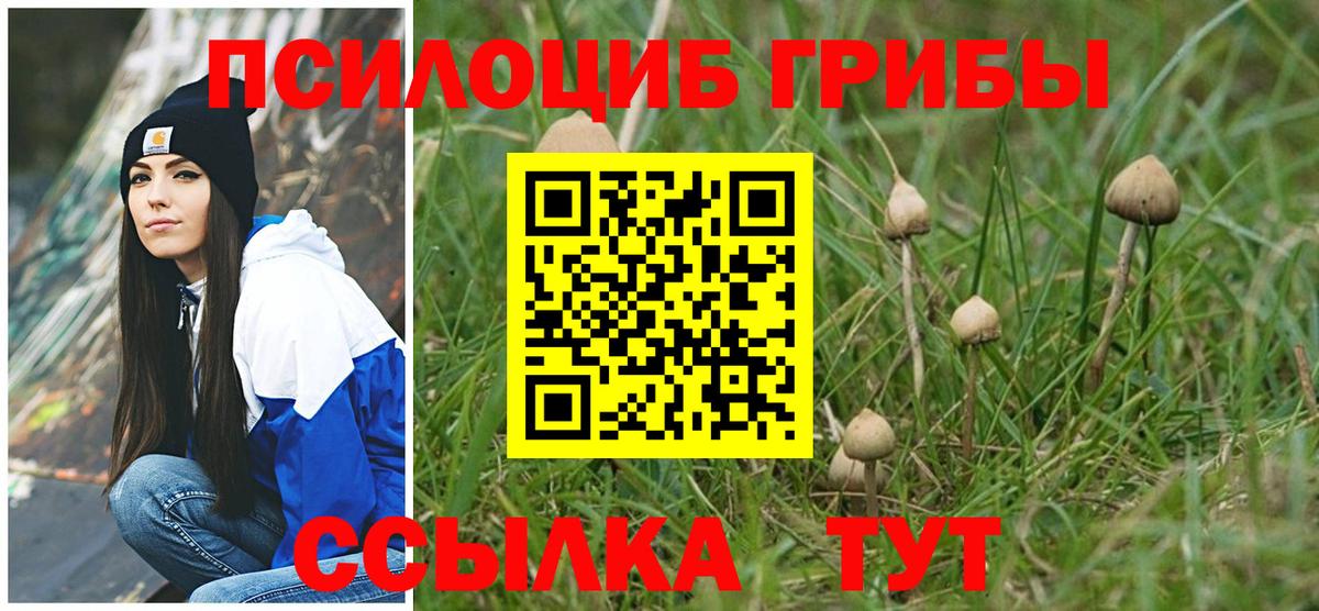 цены наркотик  Псилоцибиновые грибы MAGIC MUSHROOMS  Вход с VPN  Галлюциногенные грибы Psilocybe  Реж 